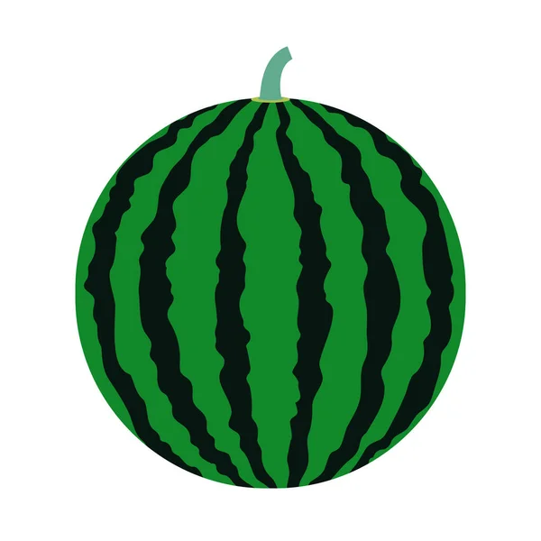 Einfache Vektorillustration Einer Typischen Sommerfrucht Einer Großen Gestreiften Wassermelone — Stockvektor