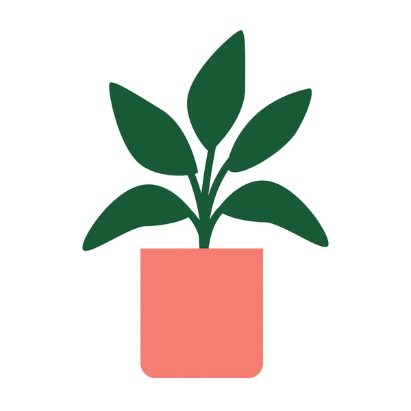 Huis groene plant in een rose pot. Geïsoleerde witte achtergrond — Stockvector