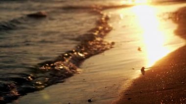 Gün batımı ışığında sahilde dalgalar