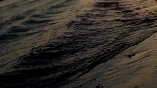 Vagues sur la plage au coucher du soleil — Video