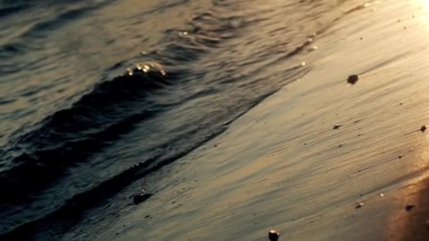 Волны на пляже при закате солнца — стоковое видео