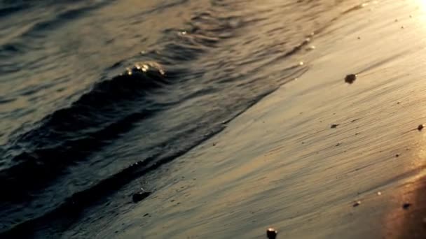 Onde sulla spiaggia alla luce del tramonto — Video Stock