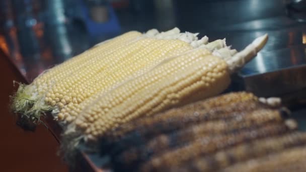 Roasted corn-cobs on brazier grid at the street — Stock Video