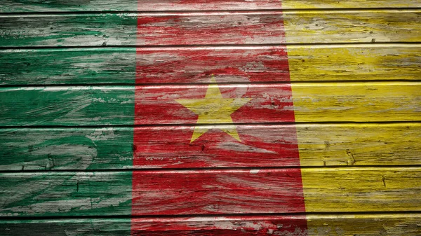 Kamerun Zászló Festett Időjárású Deszkák — Stock Fotó