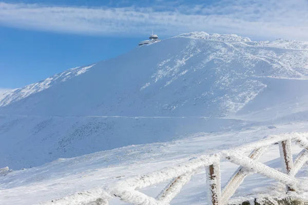 ピークの Snezka チェコ共和国で最も高い山 手すりは 凍りついた雪で覆われています 木は霜で覆われています 広告のための冬の動機 ストック写真