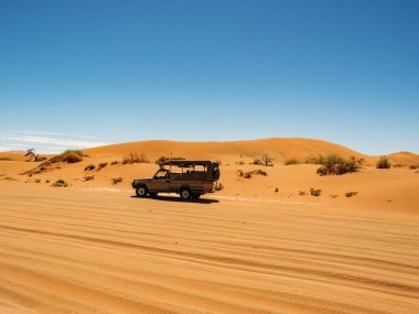 Jeep Sossusvlei tuz tavada çölde. Namib-Naukluft Milli Parkı, Namibya, Afrika