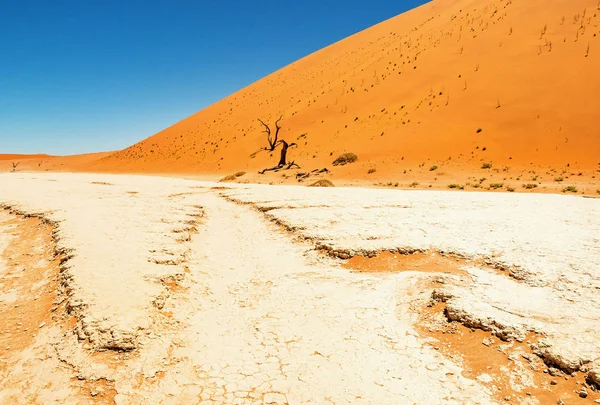 Paesaggio Desertico Con Dune Rosse Alberi Camelthorn Morti Radicati Deadvlei — Foto Stock