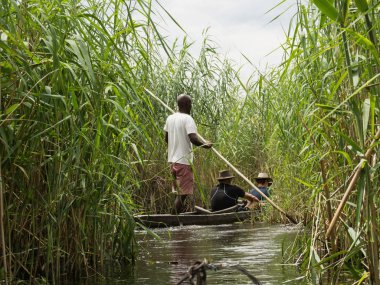 Maun yakınındaki Okavango Deltası'nda Mokoro kano gezisi. Turistler ve kamp Delta Okawango, Botswana nehirleri arasında teslim etmek için Mokoro üzerinde çalışan yerel adam