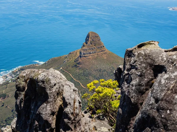 Montaña Mesa Ciudad Del Cabo Cabeza Leones Vista Aérea Ciudad — Foto de Stock