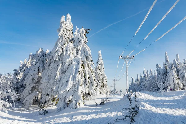 Montagne Orlicke Inverno Giornata Sole Repubblica Ceca Alberi Ricoperti Neve — Foto Stock