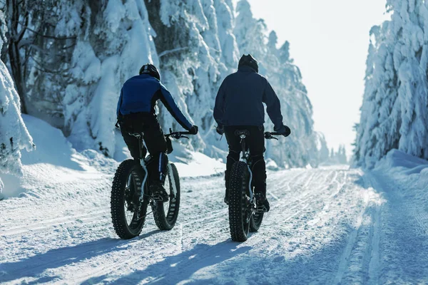 Deux Vtt Vélo Sur Sentier Enneigé Dans Belle Forêt Hiver — Photo