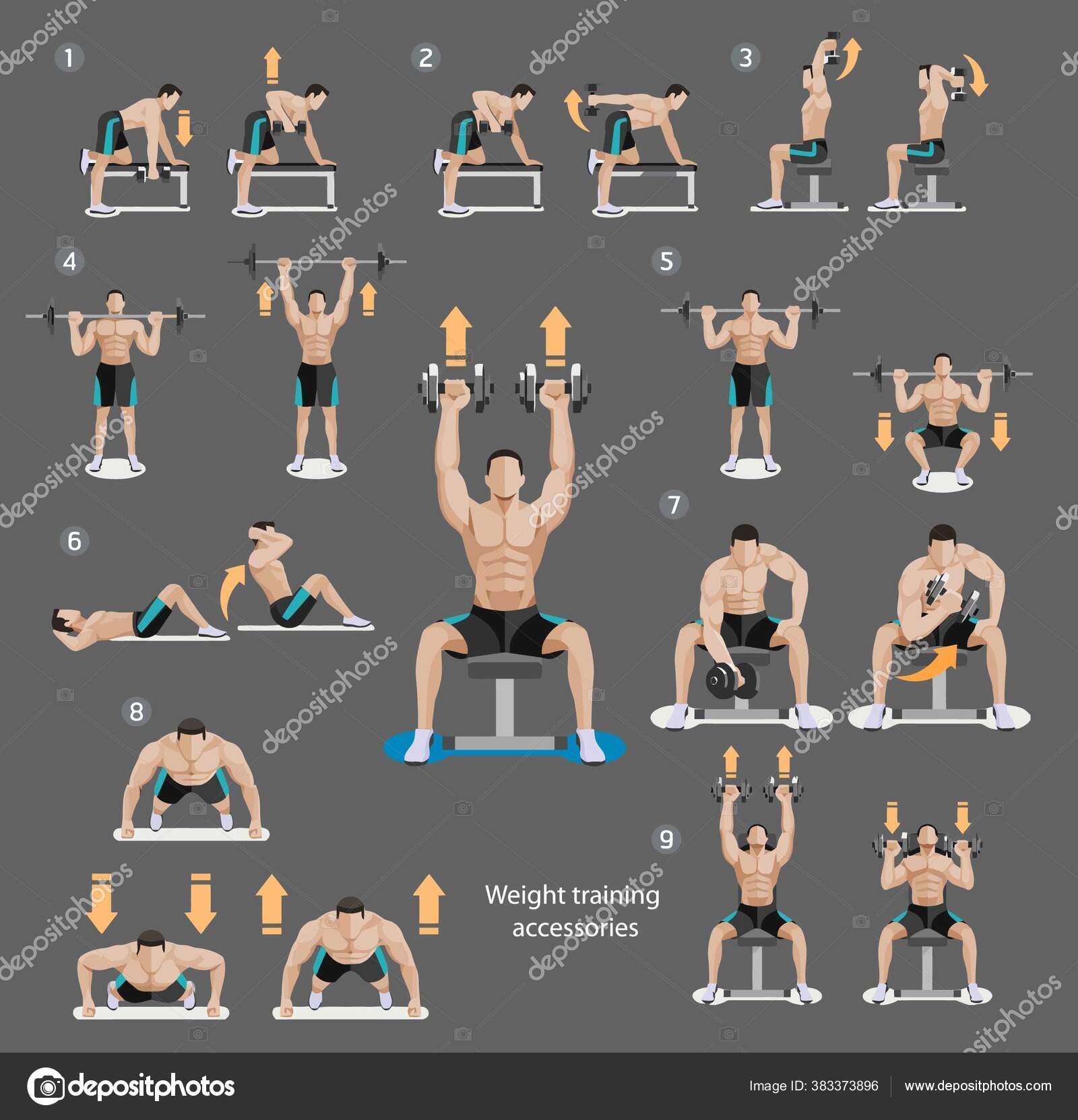 Male Fitness Weight Training Accessories Best Elements Fitness Trainer Gym  Stock Vector by ©sayed89 383373896