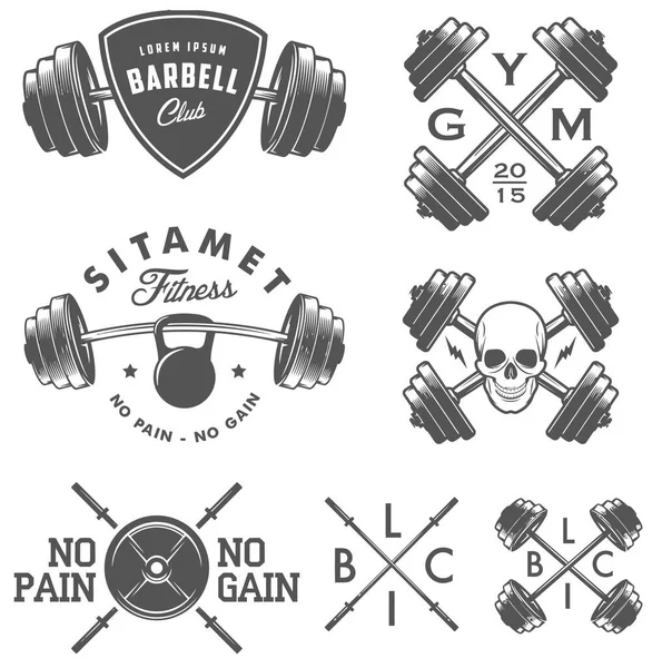 Set Vintage Gym Equipment Including Dumbbells Barbells Weight Training Accessories — Stock Vector