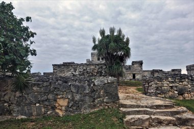 Antik Meksika şehri Tulum 'un kalıntıları. Taş basamaklar ve harap olmuş binaların duvarları hasar görmüş. Tropik bitkiler yetişir. Arkaplan bulutlu gökyüzü.