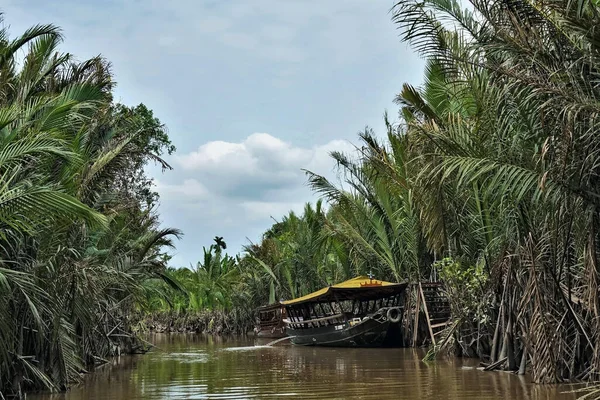Mekong Delta. In a narrow branch of the river, on calm dark water, there is an exotic ship with a yellow roof. On the banks of impassable thickets of palm trees. Blue sky with light clouds. Vietnam.