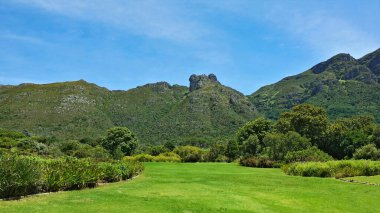 Botanik bahçesindeki manzara. Ön planda parlak yeşil bir çimen, gür çalılar, ağaçlar var. Mavi gökyüzüne karşı, pitoresk bir dağ sırası. Güney Afrika, Cape Town, Kirstenbosch Bahçesi.