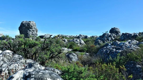 Prachtig Landschap Top Van Tafelberg Kaapstad Zomer Zonnige Dag Blauwe — Stockfoto