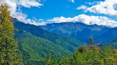 Kafkas dağları sonbaharın başlarında. Ağaçlardaki yapraklar sararır. Dağ yamaçları sık ormanlarla kaplıdır. Yüksek karlı zirveler bulutlarda saklanır. Parlak mavi gökyüzü, güneşli bir gün. - Rusya. Soçi..