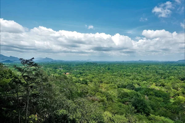 Panorama Selva Desde Cima Del Monte Sigiriya Bosque Verde Extiende — Foto de Stock