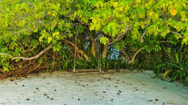 Medeniyetten uzak dur. Yeşil tropikal bitki örtüsü arasında boyanmamış ahşaptan yapılmış bir salıncak iplerden sarkıtılır. Düşen çiçekler ve yapraklar beyaz kumun üzerinde yatıyor. Huzur ve sessizlik. Maldivler.
