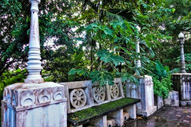 Eski bir taş bank. Yeşil yosun, koltukta düşen yapraklar. Yakınlarda lambalar var. Çevredeki yemyeşil tropikal bitki örtüsü. Tayland 'da yaz.