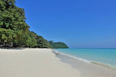 Adadaki tropik plaj. Saf beyaz kum, köpüklü akuamarin dalgaları, kıyıda yeşil ağaçlar. Gökyüzü açık, yaz güneşli bir gün. Hiç insan yok. Tayland.