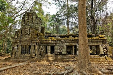 Angkor 'un eşsiz tapınağının kalıntıları. Yosun, harap olmuş binadaki çatlaklar. Kabartmalar, süsler, sütunlar, pencereler görülebilir durumda. Orman her yerde yetişiyor. Yere düşen yapraklar. Gizemli antik uygarlık yok oldu. Kamboçya.