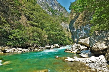Dağ nehri kayaların arasındaki geçitten akar. Turkuaz su köpürüyor. Kıyılarda kayalar var. Dik yamaçlarda yeşil bitki örtüsü. Yaz güneşli bir gün.
