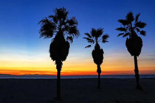 Пляж Заходу Сонця Пальмами Вентура Каліфорнія — стокове фото