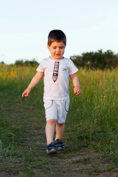 Niño Años Está Caminando Campo Verano Verde Sonriendo Tarde Naturaleza — Foto de Stock