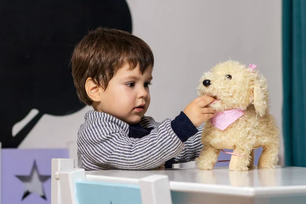 小さな男の子がテーブルに座って豪華な犬と遊ぶ 幼稚園 子供のおもちゃ — ストック写真