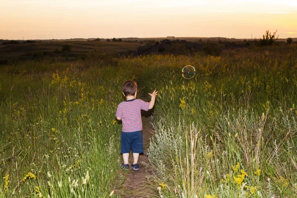 縞模様のTシャツを着た男の子が夕方の日没に緑の畑を歩いている 自然と子供 調和と子供時代 — ストック写真