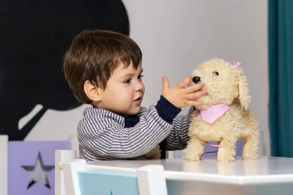 小さな男の子がテーブルに座って豪華な犬と遊ぶ 幼稚園 子供のおもちゃ — ストック写真