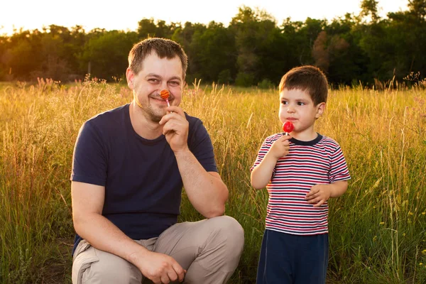 傍晚时分 爸爸和儿子在一片黄色的夏天的田野里散步 用棍子吃糖果 父亲节 家庭中的爱 父亲在抚养孩子中的作用 — 图库照片