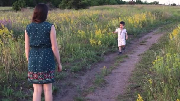 慢动作一个3岁的小男孩跑过田野 童年的自然 幸福和放松 给父母和家人一个微笑 给父母一个微笑 母亲节 父亲节 — 图库视频影像