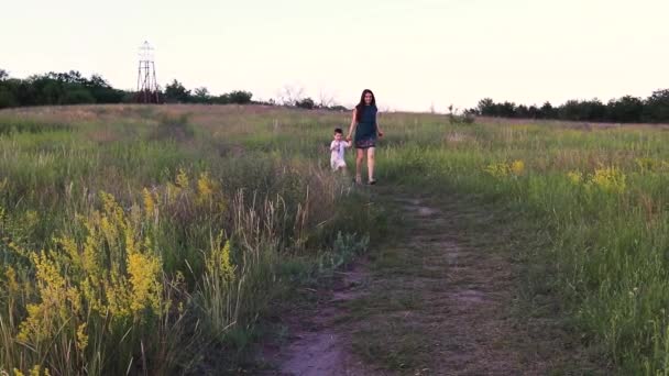 Mamá Hijo Pequeño Están Corriendo Hermoso Campo Amarillo Verano Infancia — Vídeo de stock