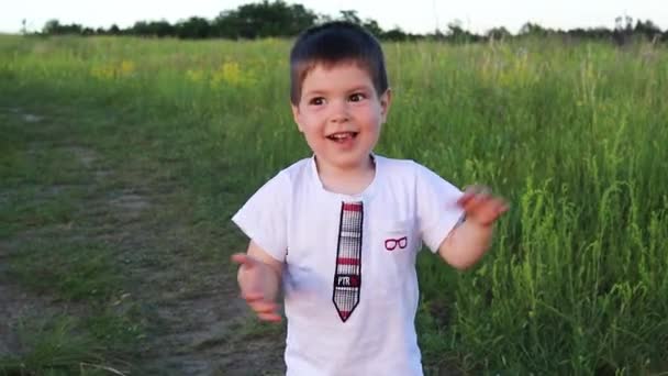 Niño Feliz Aplaude Niño Campo Verde Por Noche Atardecer Feliz — Vídeos de Stock