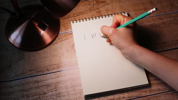Una Mujer Escribe Con Lápiz Cuaderno Haré Letras Motivacionales Éxito — Vídeo de stock