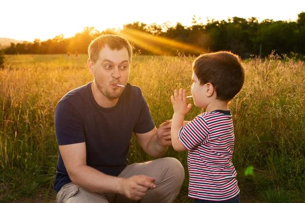 Papà Figlio Camminano Campo Estivo Giallo Sera Tramonto Mangiano Caramelle — Foto Stock