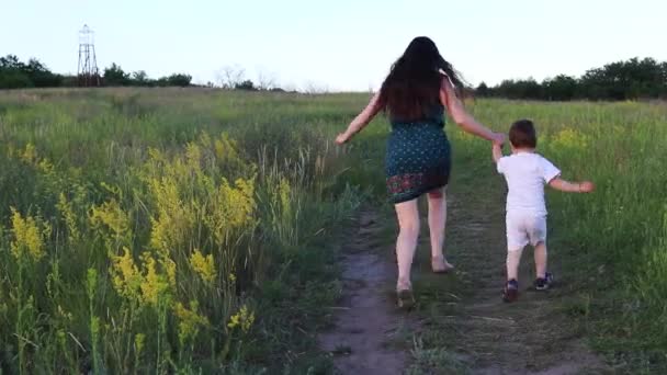 Máma Syn Běhají Létě Krásném Žlutém Poli Dětství Přírodě Štěstí — Stock video