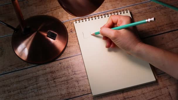 Menina Escreve Uma Folha Caderno Com Lápis Pouco Pouco Frases — Vídeo de Stock