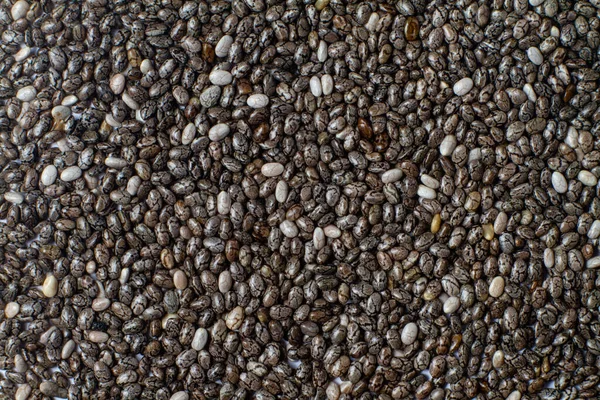 Macro Foto Semillas Chía Superfoods Semillas Negras Sanas Orgánicas Fuente — Foto de Stock