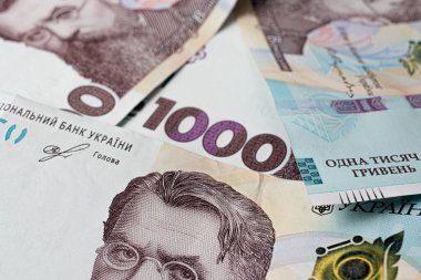 Bin tane hryvnia. Ukrayna para banknotu.