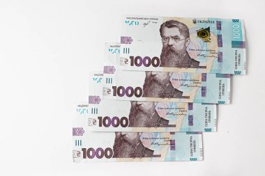 Bin tane hryvnia. Ukrayna para banknotu.