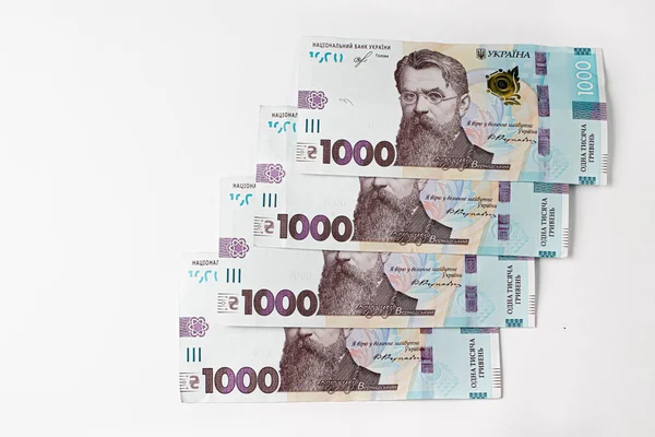 Bin tane hryvnia. Ukrayna para banknotu.