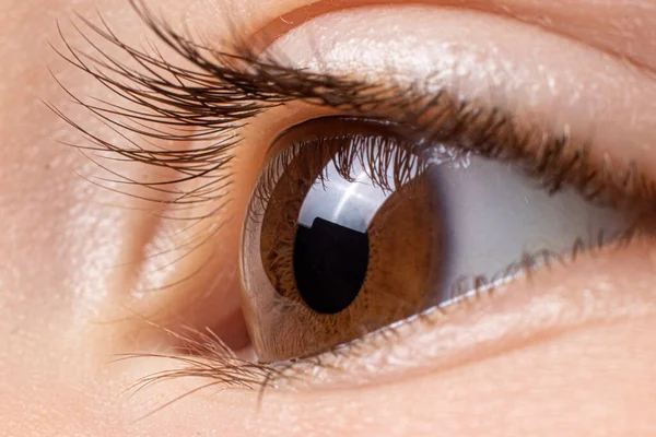 Makro foto av barnen bruna ögat. Barnens oftalmologi, syn. — Stockfoto