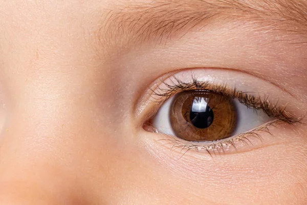 小孩棕色眼睛的宏观照片。孩子们的眼科，视力。靠近点 — 图库照片