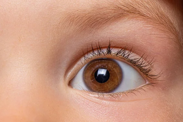 Macro foto del ojo marrón de los niños. Oftalmología infantil, vista. De cerca. — Foto de Stock