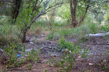 Doğadaki çöp yığınları, kirlilik, plastik. Gezegenin ekolojisi üzerindeki insan etkisi.