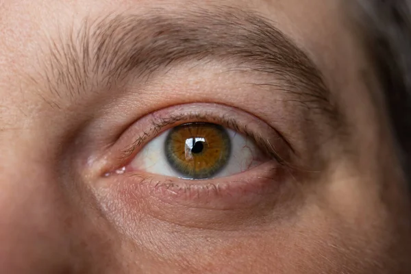 Un occhio sano mans è un primo piano macro foto. Oftalmologia. — Foto Stock